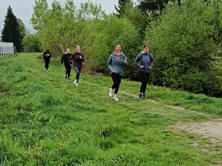IMG 2